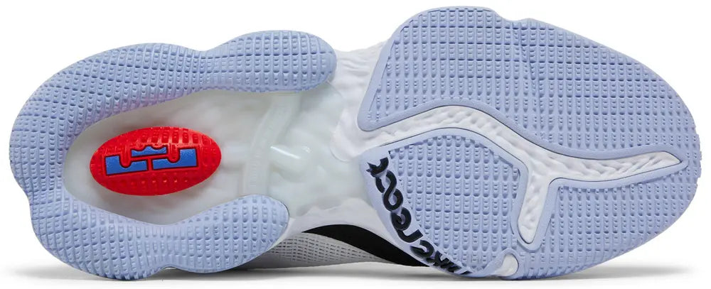 NIKE LEBRON 19 LOW CONCORD