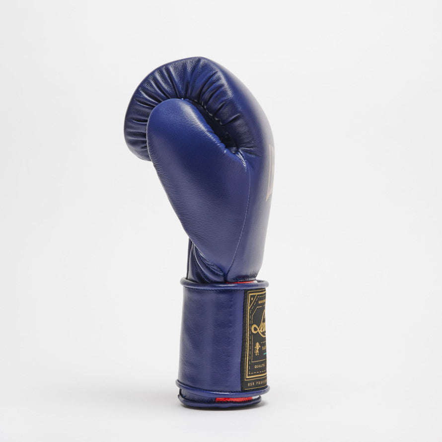 GUANTI BOXE LEONE ORLANDO TRICOLORE VELCRO GNO03V
