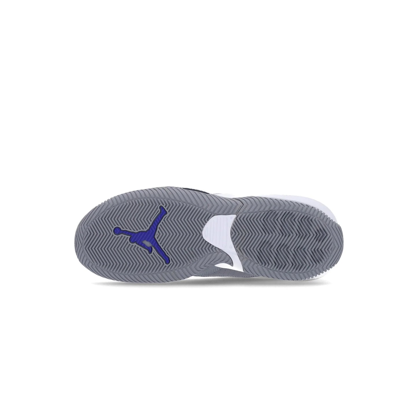 NIKE AIR JORDAN STAY LOYAL WOLF GREY PURPLE