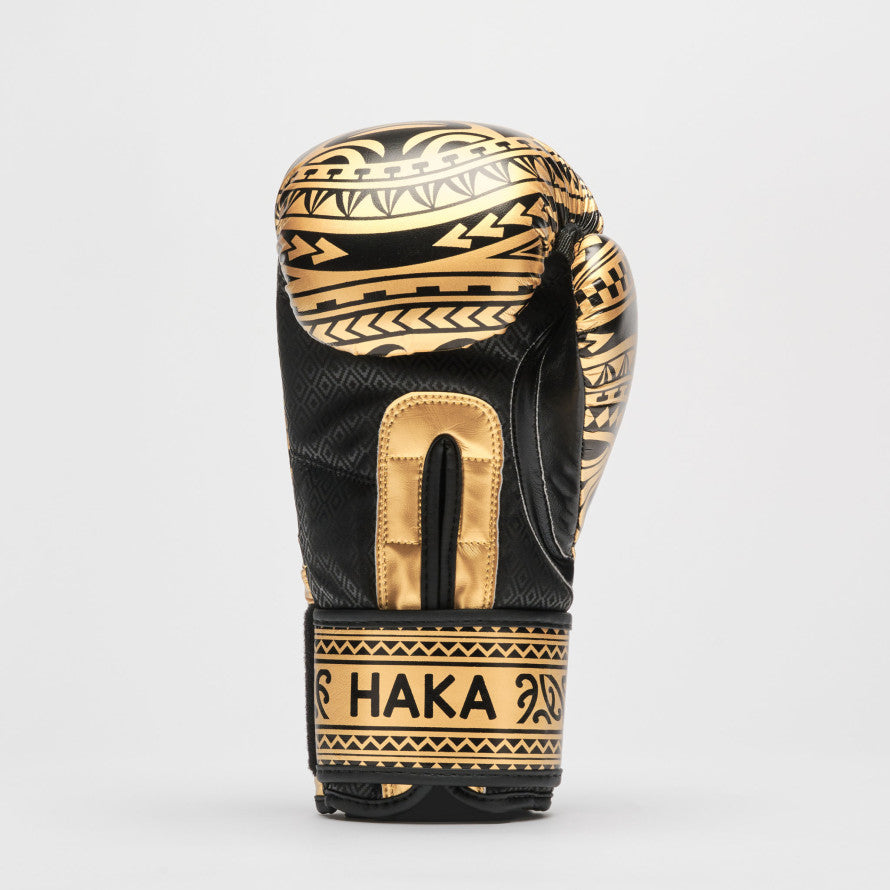 GUANTONI BOXE LEONE 1947 HAKA GN329