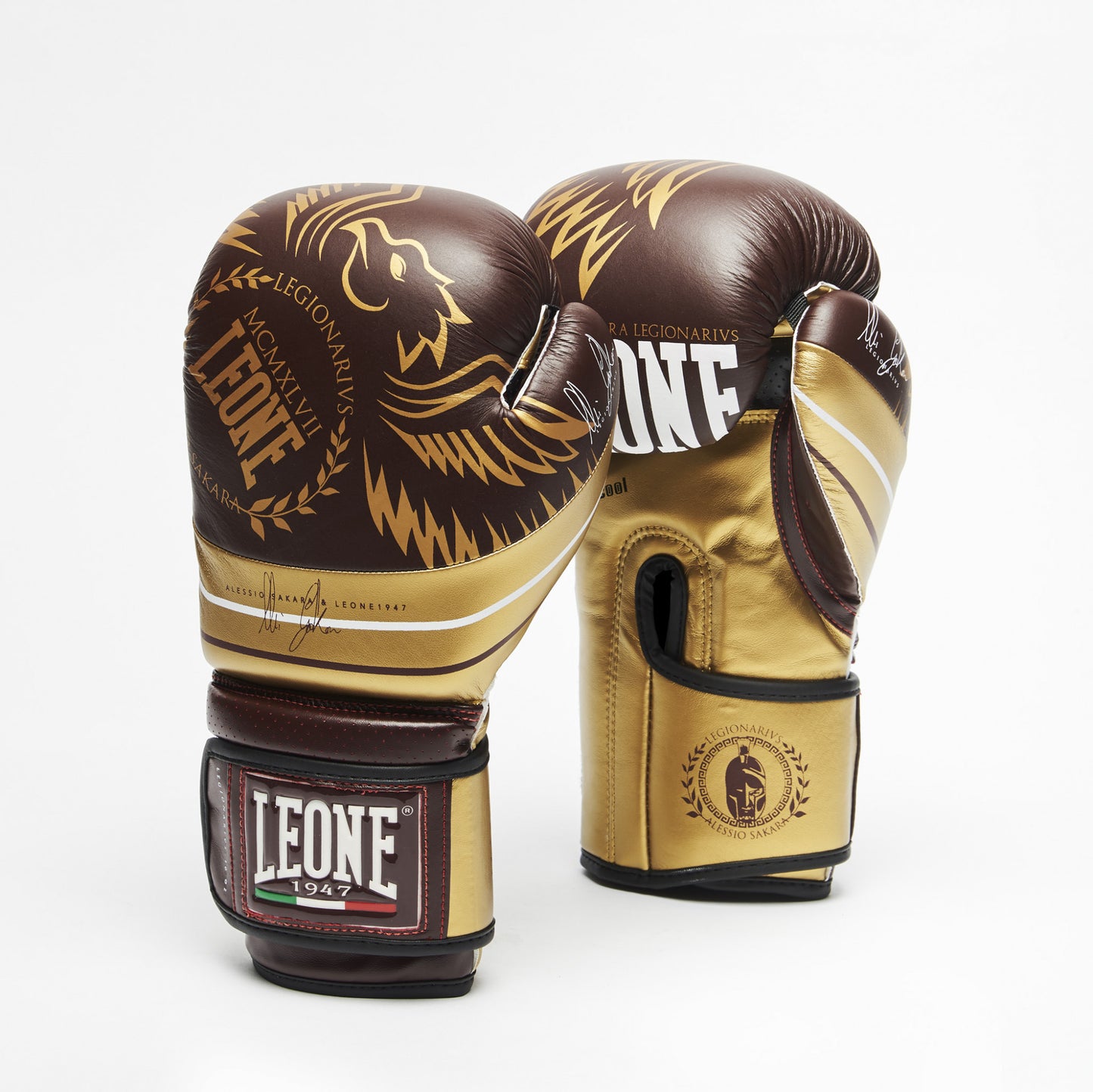GUANTONI BOXE LEGIONARIVS LEONE 1947 GN202