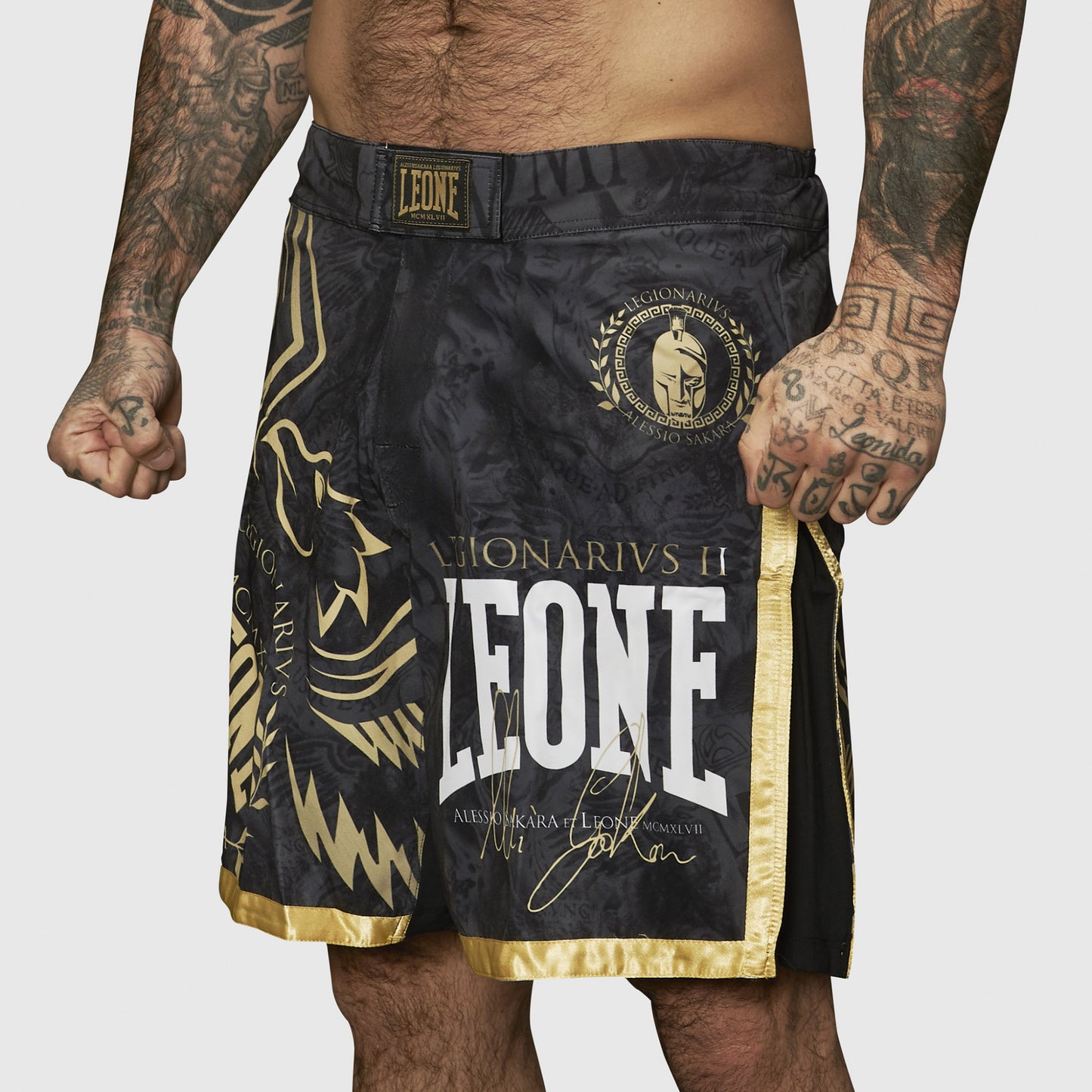 PANTA MMA LEGIONARIVS LEONE 1947 AB790