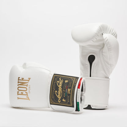 GUANTI BOXE LEONE ORLANDO TRICOLORE VELCRO GNO03V