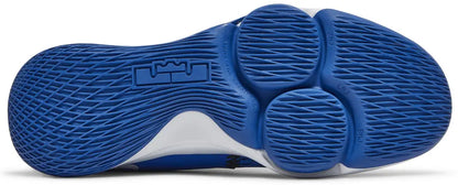 NIKE LEBRON WITNESS V PHOTO BLUE
