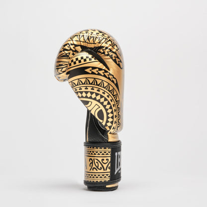 GUANTONI BOXE LEONE 1947 HAKA GN329