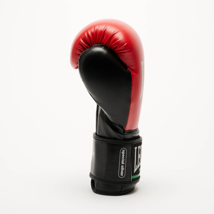 GUANTONI BOXE LEONE 1947 THUNDER GN383