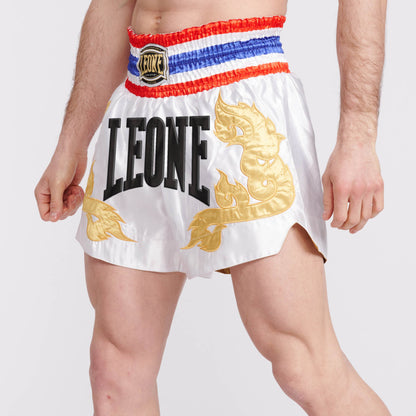 PANTA THAI LEONE 1947 AB967