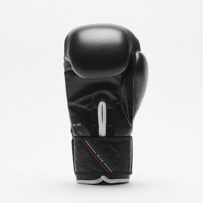 GUANTONI BOXE LEONE 1947 FLAG GN212