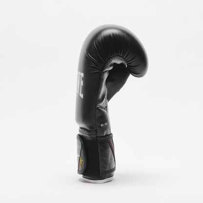 GUANTONI BOXE LEONE 1947 FLAG GN212